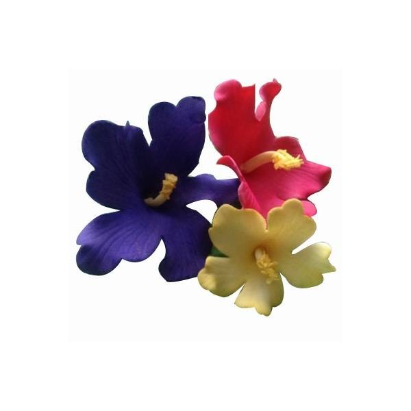Hawaiian Flower Set