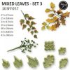 Jem Mixed Leaves Set 2