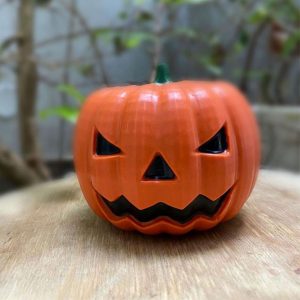 Alternative view of BWB Lrg Pumpkin Mould