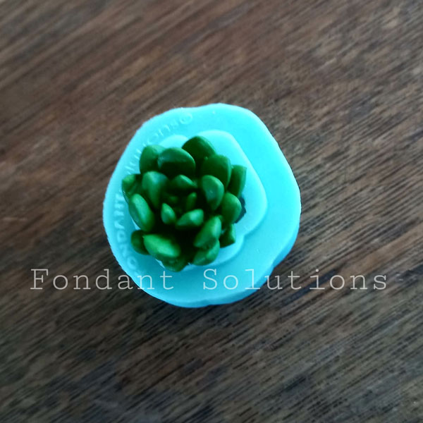 Fondant Solutions Succulent SS02 Mould