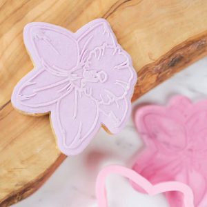Sweet Stamp Amy Jane Stamp N Cut - Daffodil