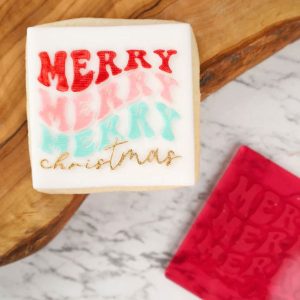 Sweet Stamp Outboss Amy Jane Groovy Merry Christmas