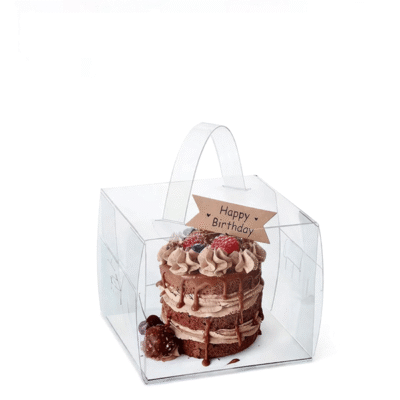 Clear 15cm Carrier Box - Pack of 5