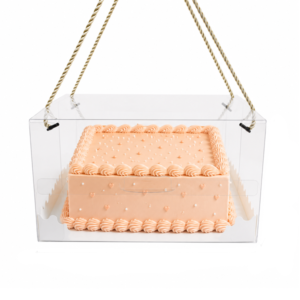 Cake Carrier Box With Rope 24cm Pack of 5